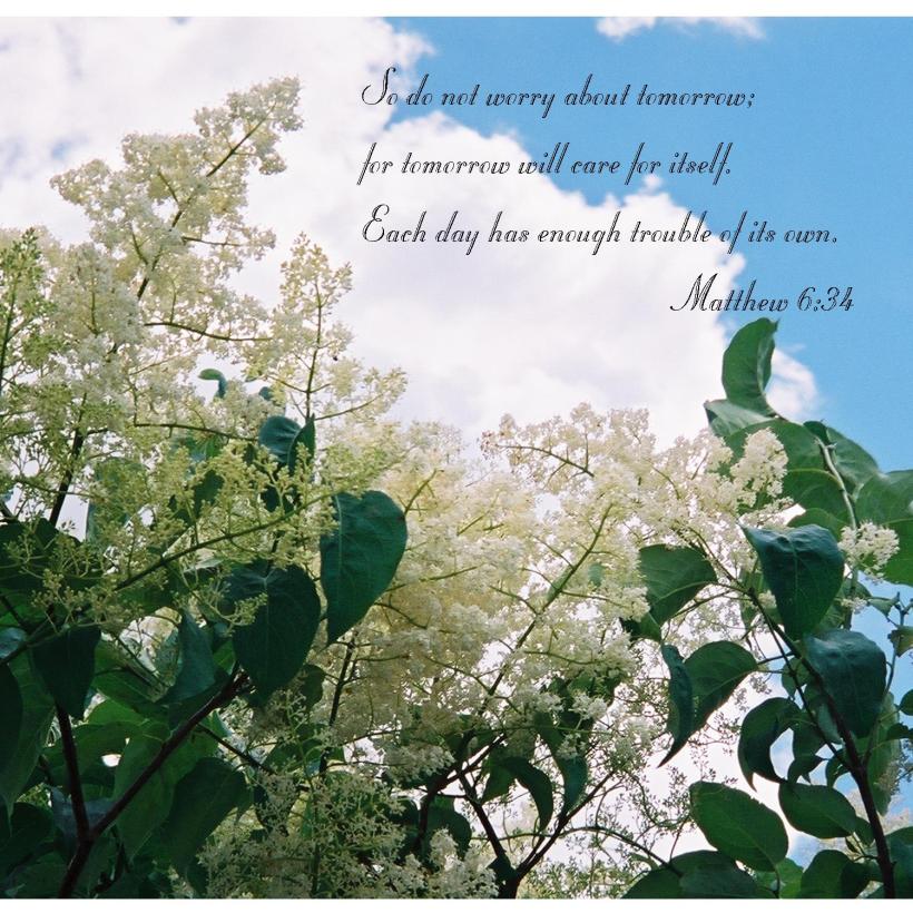 Matthew 6 34