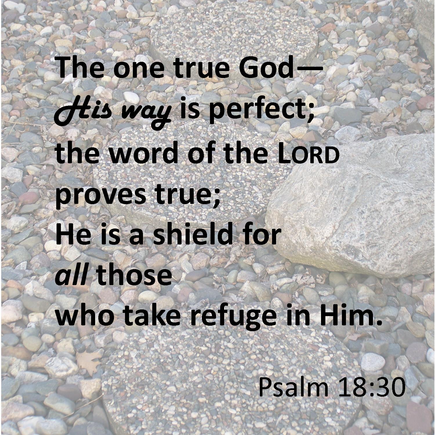 Psalm 18 30