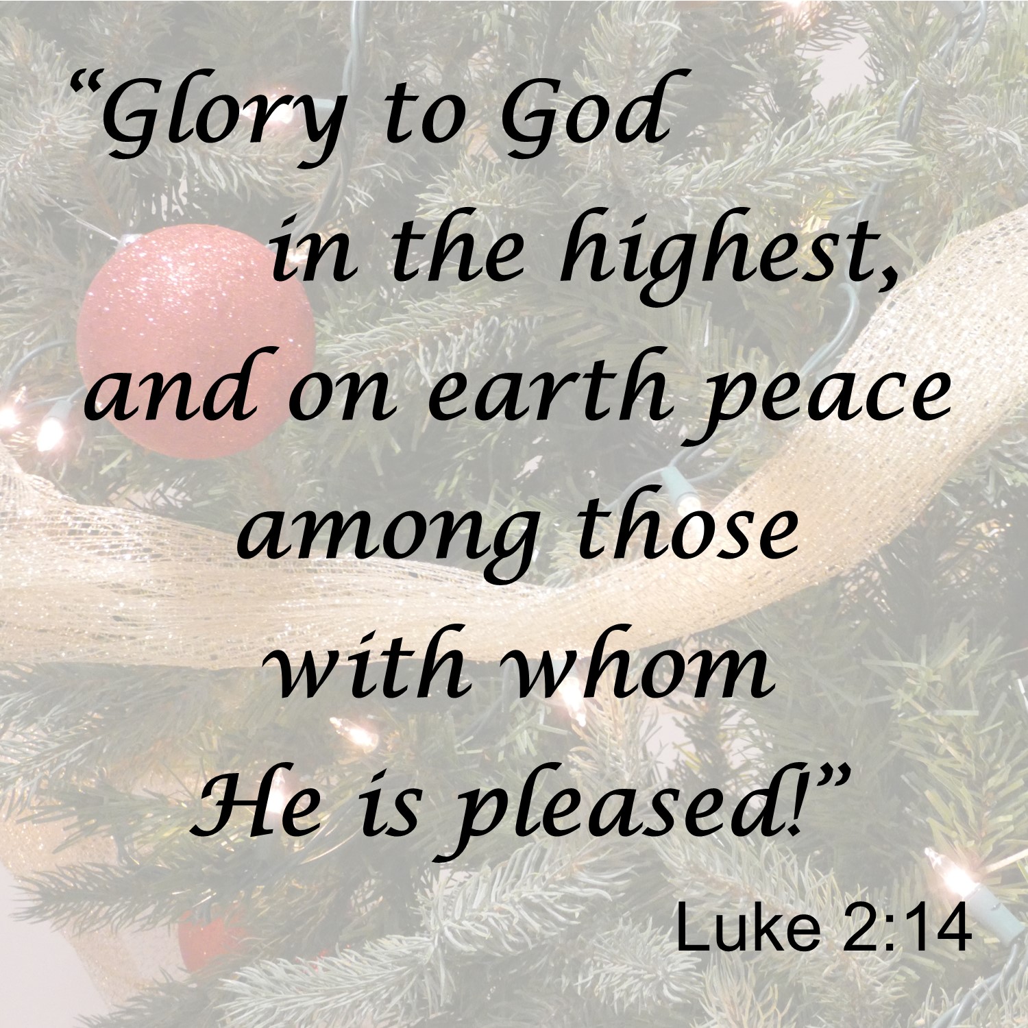 Praise at Christmas – Pleading in Prayer